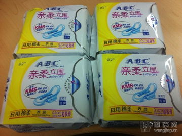 居家生活四類必備品 日用百貨、小家電、寵物用品與個人衣物